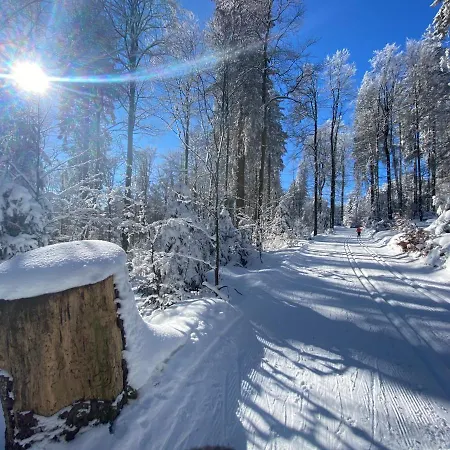 Διαμέρισμα 17 Am Berg *
