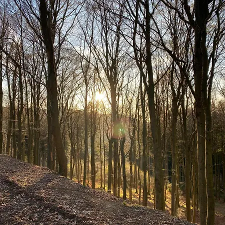 17 Am Berg Winterberg