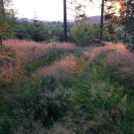 17 Am Berg Daire Winterberg