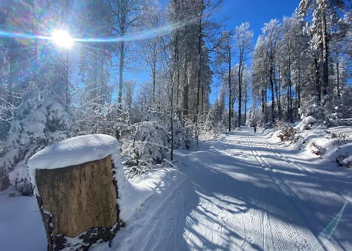 Apartment 17 Am Berg *