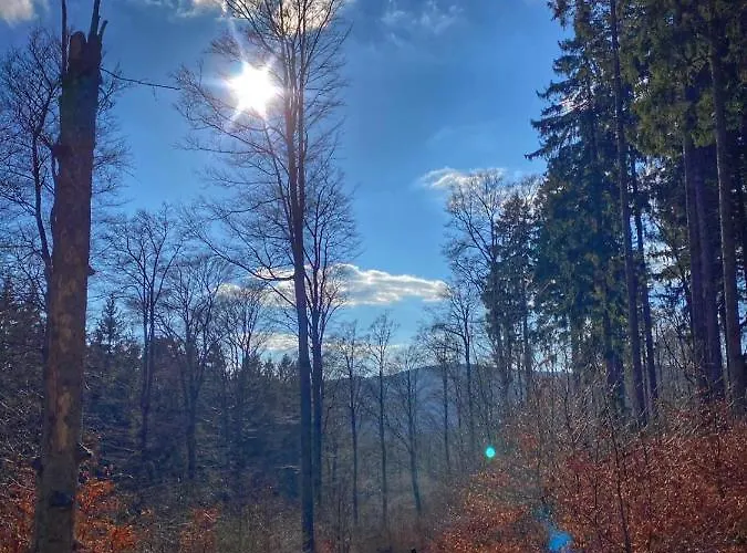 17 Am Berg * Winterberg