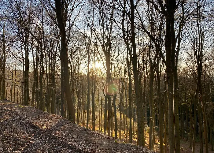17 Am Berg Winterberg