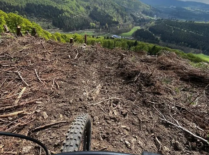 17 Am Berg Apartment *