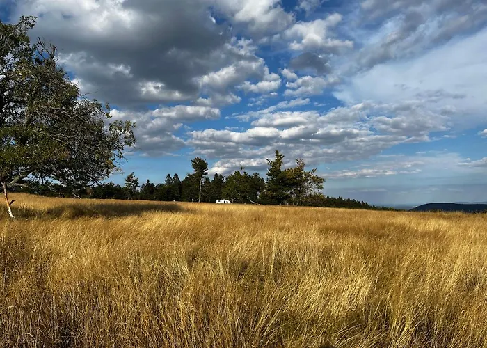 17 Am Berg وينتربرغ