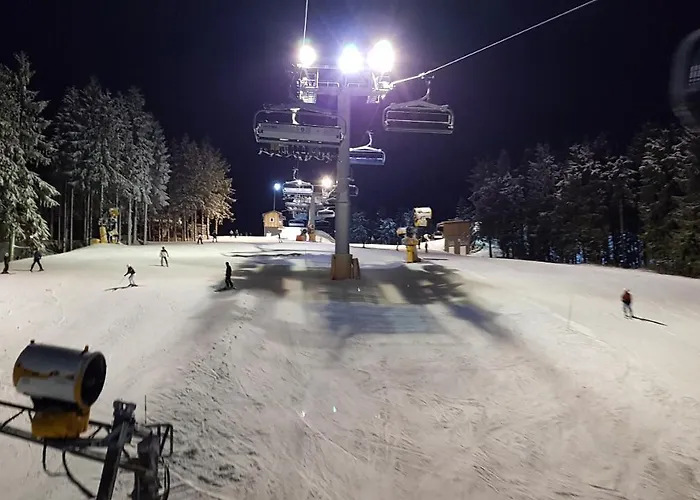 17 Am Berg Apartment Winterberg