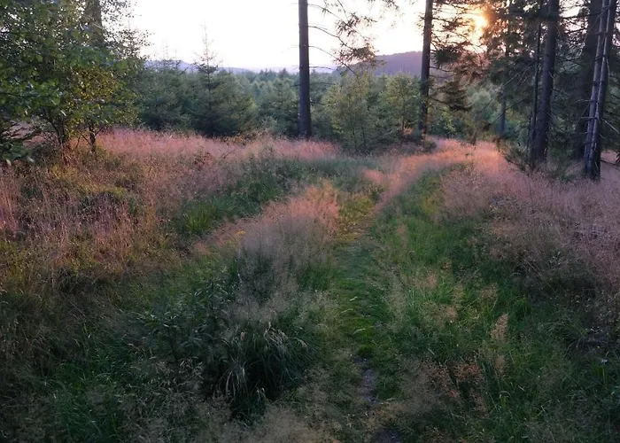 17 Am Berg Daire Winterberg